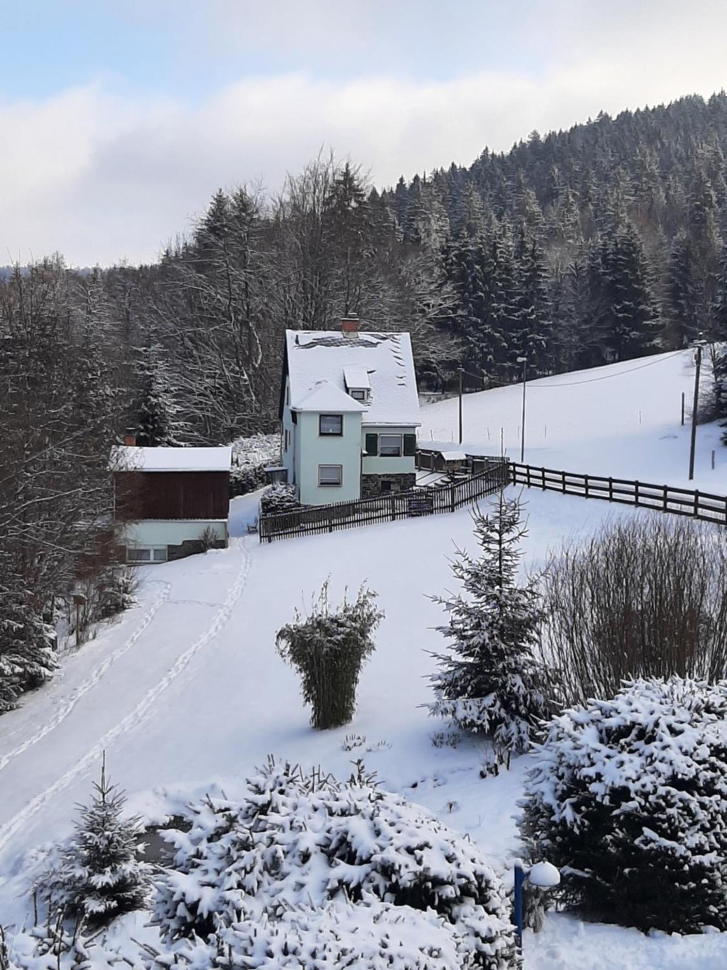Ferienhaus Rosemarie Erlbach Vogtland 외부 사진