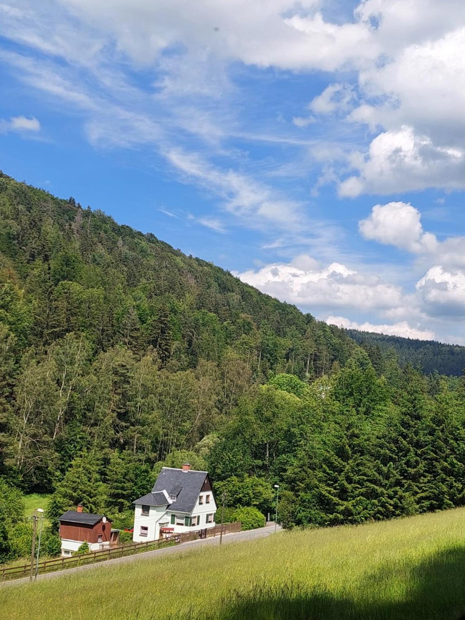 Ferienhaus Rosemarie Erlbach Vogtland 외부 사진
